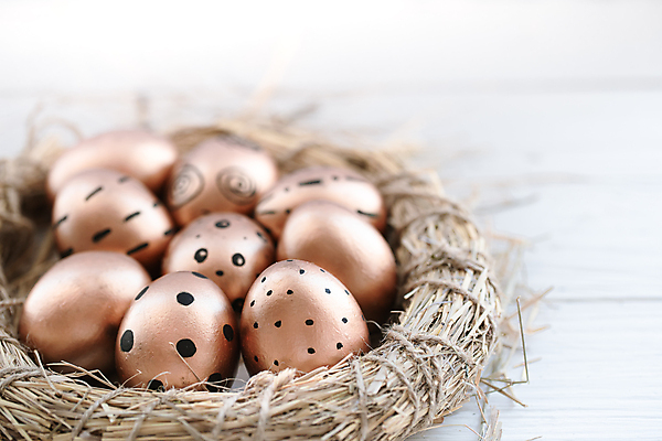 포토 JPG 해외이미지 부활절 사람없음 계란 해외포토 기념일 알 파일형식 이미지허브