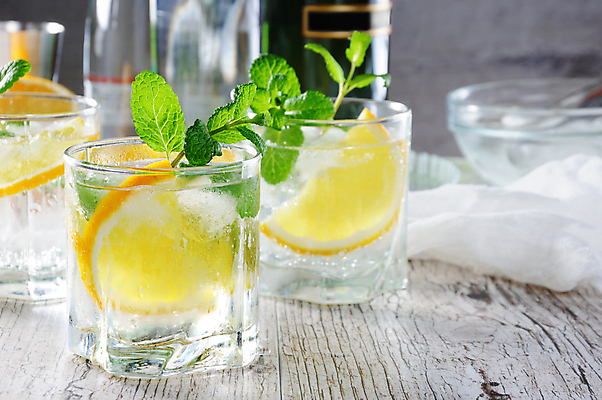 포토 JPG 해외이미지 오렌지 잔 사람없음 칵테일 과실주 민트 브랜디 해외포토 식기 과일 주류 허브 파일형식 이미지허브