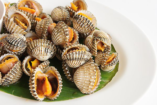 포토 JPG 해외이미지 전통 아시아 문화 음식 다이어트 태국 탁자 요리 동양인 사람없음 식사 흰색 신선 맛 먹기 해산물 지역 영양분 해외포토 나라 컬러 가구 컨셉 모션 건강 인종 파일형식 이미지허브