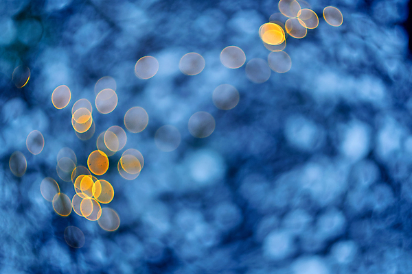 포토 JPG 해외이미지 나무 디자인 계절 백그라운드 컨셉 크리스마스장식 크리스마스 패턴 모션 추상 조명 새로움 새해 사람없음 장식 가로 파란색 빛 컬러풀 뷰티 크리스마스트리 노란색 우주 어둠 축하 야간 소프트포커스 연도 빛망울 광 블러 더스트파티클 카피스페이스 해외포토 자연요소 식물 기념일 컬러 무늬 촬영기법 공백 파일형식 이미지허브