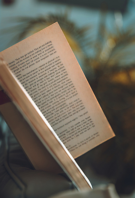 포토 JPG 해외이미지 교육 여행 컨셉 자연 휴가 휴식 이야기 취미 사람없음 야외 책 여름 스터디 독서 햇빛 맑음 오픈 읽기 휴양지 문학 주말 페이지 단절 이국적 해외포토 계절 모션 날씨 학습 태양 장소 생태계 파일형식 이미지허브