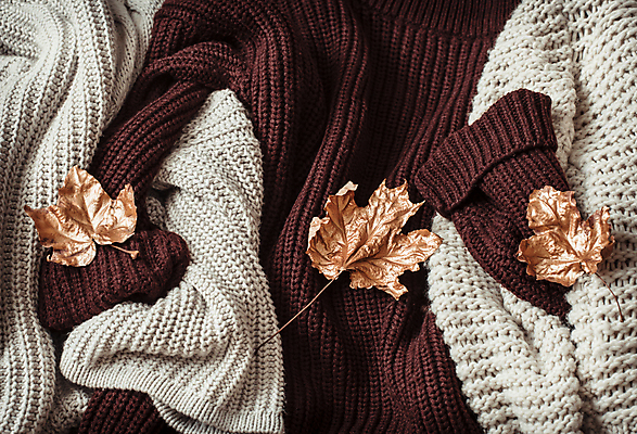 포토 JPG 해외이미지 낙엽 실내 사람없음 오브젝트 니트 해외포토 상의 잎 내부 파일형식 이미지허브