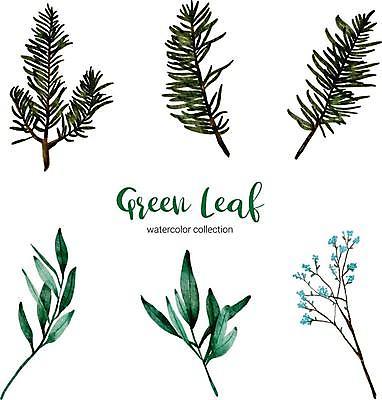 EPS 해외이미지 꽃 잎 크리스마스 일러스트 타이포그라피 글자캘리그라피 사람없음 솔잎 해외일러스트 식물 문자 기념일 캘리그라피 파일형식 벡터 이미지허브