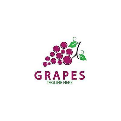EPS 해외이미지 클립아트 식물 디자인 열매 실루엣 음식 잎 과일 일러스트 탁자 포도 매달리기 건강 그래픽 빨간색 농장 와인 보라색 플랫 달콤 다발 유기농 날것 윤곽 포도밭 포도나무 내추럴 고립 메를로 입가심 해외일러스트 웰빙 컬러 가구 밭 농업 모션 주류 촬영기법 맛 과일나무 파일형식 벡터 나무 산업 음료 생활용품 컨셉 오브젝트 이미지허브