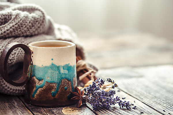 포토 JPG 해외이미지 식물 실내 사람없음 아웃포커스 머그컵 오브젝트 니트 나무탁자 해외포토 상의 탁자 촬영기법 내부 컵 파일형식 이미지허브