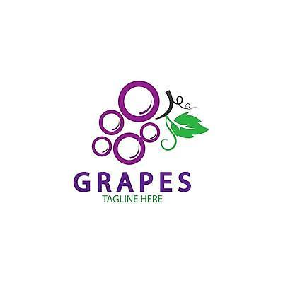 EPS 해외이미지 클립아트 식물 디자인 열매 실루엣 음식 잎 과일 일러스트 탁자 포도 매달리기 건강 그래픽 빨간색 농장 와인 보라색 플랫 달콤 다발 유기농 날것 윤곽 포도밭 포도나무 내추럴 고립 메를로 입가심 해외일러스트 웰빙 컬러 가구 밭 농업 모션 주류 촬영기법 맛 과일나무 파일형식 벡터 나무 산업 음료 생활용품 컨셉 오브젝트 이미지허브
