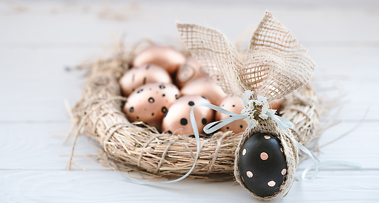 포토 JPG 해외이미지 부활절 사람없음 계란 해외포토 기념일 알 파일형식 이미지허브