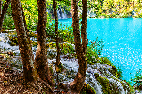 포토 JPG 해외이미지 나무 공원 유럽 호수 여행 잎 자연 휴가 풍경 사람없음 야외 초록색 여름 파란색 햇빛 환경 폭포 가을 연못 신선 개울 숲 크로아티아 전국 해외포토 식물 계절 공공시설 나라 컬러 강 태양 생태계 파일형식 이미지허브
