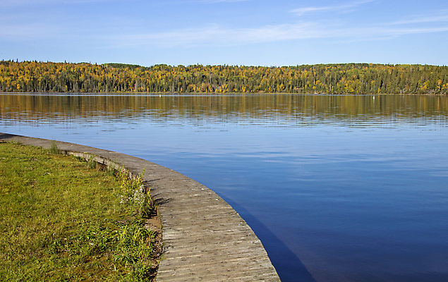 포토 JPG 해외이미지 나무 잎 캐나다 자연 풍경 사람없음 야외 컬러풀 평화 가을 숲 장면 북쪽 해외포토 식물 계절 컬러 컨셉 북아메리카 방향 생태계 파일형식 이미지허브