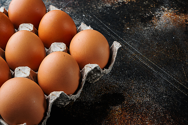 포토 JPG 해외이미지 음식 식재료 사람없음 계란 계란판 카피스페이스 해외포토 알 공백 파일형식 이미지허브