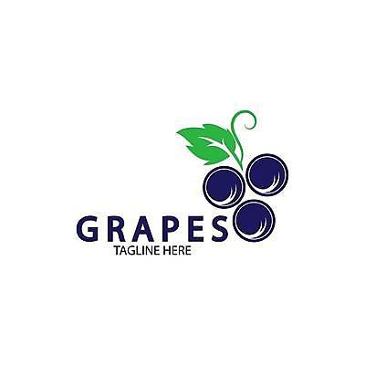 EPS 해외이미지 클립아트 식물 디자인 열매 실루엣 음식 잎 과일 일러스트 탁자 포도 매달리기 건강 그래픽 빨간색 농장 와인 보라색 플랫 달콤 다발 유기농 날것 윤곽 포도밭 포도나무 내추럴 고립 메를로 입가심 해외일러스트 웰빙 컬러 가구 밭 농업 모션 주류 촬영기법 맛 과일나무 파일형식 벡터 나무 산업 음료 생활용품 컨셉 오브젝트 이미지허브