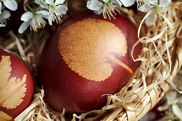 포토 JPG 해외이미지 식물 전통 디자인 계절 꽃잎 꽃 음식 패턴 자연 양파 휴가 부활절 사람없음 장식 빨간색 갈색 계란 축제 봄 벚꽃 껍질 축하 신선 그리기 심볼 피부 생태계 염색 밀짚 내추럴 핸드메이드 해외포토 기념일 컬러 컨셉 무늬 채소 모션 신체부위 알 짚 파일형식 이미지허브