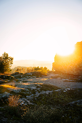 포토 JPG 해외이미지 나무 구름 공원 여행 백그라운드 자연 하늘 휴가 불꽃 산 파노라마 풍경 사람없음 야외 목재 초록색 물 여름 햇빛 태양 노란색 환경 봄 트래킹 하이킹 소나무 황무지 개 숲 포르투갈 순수 언덕 내추럴 소셜 해외포토 자연요소 식물 계절 공공시설 유럽 컬러 컨셉 재료 포유류 불 레저 촬영기법 생태계 파일형식 이미지허브