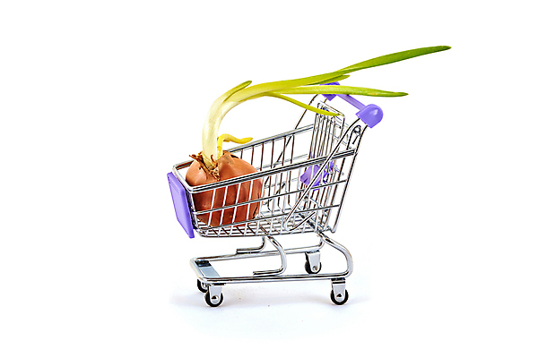 포토 JPG 해외이미지 잡화 음식 백그라운드 컨셉 다이어트 채소 비즈니스 양파 건강 사람없음 초록색 쇼핑 세일 바구니 상점 금속 카트 흰색 신선 시장 구매 상품 쇼핑몰 고객 오브젝트 무역 상업 소매 슈퍼마켓 고립 마케팅 매각 숙성 채식주의자 해외포토 산업 컬러 재질 채식 파일형식 이미지허브