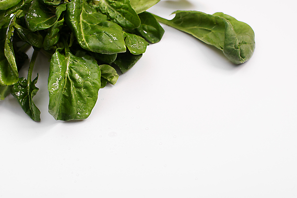 포토 JPG 해외이미지 스튜디오촬영 식물 배너 음식 줄기 백그라운드 컨셉 잎 채소 자연 건강 사람없음 초록색 우주 쪽지 공백 샐러드 흰색 신선 자르기 다발 먹기 흰배경 유기농 레이아웃 날것 뿌리 슛 섬유 시금치 내추럴 고립 생식 채식주의자 레터링 카피스페이스 해외포토 웰빙 컬러 모션 실내 직물 생태계 채식 파일형식 이미지허브