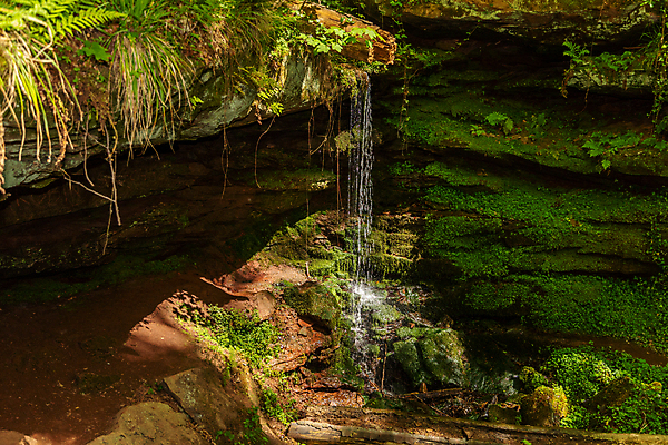 포토 JPG 해외이미지 나무 식물 백그라운드 자국 자연 이끼 풍경 사람없음 야외 초록색 물 여름 골짜기 봄 하이킹 흐름 암석 바위 개울 숲 오솔길 땅 땅바닥 해외포토 자연요소 계절 길 컬러 컨셉 레저 바닥 강 돌_바위 생태계 파일형식 이미지허브
