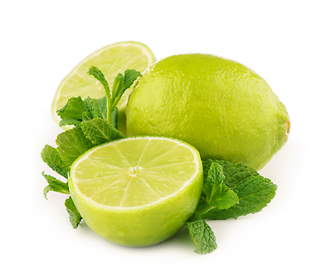 포토 JPG 해외이미지 과일 사람없음 초록색 라임 스피아민트 해외포토 컬러 민트 파일형식 이미지허브