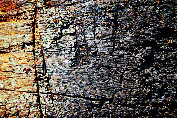 포토 JPG 해외이미지 나무 식물 디자인 백그라운드 패턴 자연 표면 추상 사람없음 목재 갈색 검은색 어둠 흰색 원형 거친 균열 닫기 숲 낟알 자르기 질감 통나무 나무껍질 잡동사니 내추럴 석탄 수목 옛날 화상 해외포토 도형 컬러 무늬 재료 모션 껍질 상처 생태계 파일형식 이미지허브