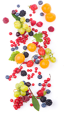 포토 JPG 해외이미지 열매 잎 딸기 사람없음 청포도 블루베리 산딸기 베리 블랙베리 해외포토 식물 과일 포도 파일형식 이미지허브