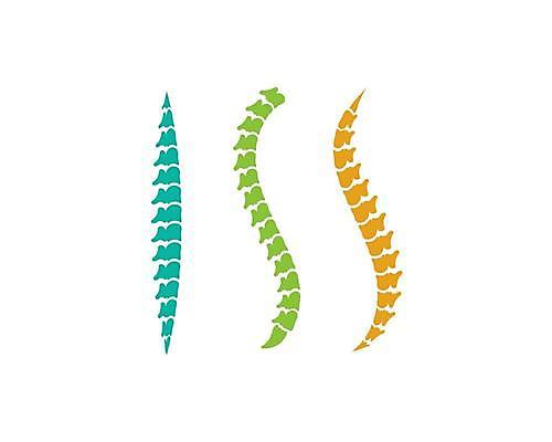 EPS 해외이미지 디자인 실루엣 신체 일러스트 해부 뼈 골격 건강 병원 사람 그래픽 약 라벨 고통 의사 마사지 점 센터 질병 심볼 척추 사인 생물학 S 외과 돌봄 무한 정형외과 증상 특별함 해외일러스트 알파벳 교육 감정 컨셉 의학 모션 프레임 촬영기법 의료진 파일형식 벡터 이미지허브