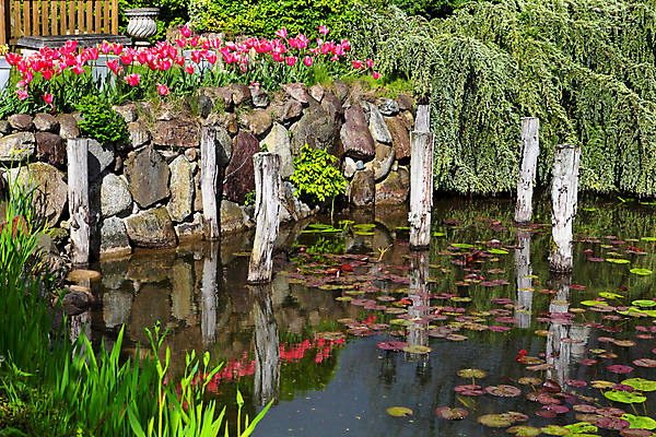 포토 JPG 해외이미지 나무 식물 공원 꽃 분홍색 백그라운드 잎 꽃무늬 자연 풍경 사람없음 야외 초록색 컬러풀 뷰티 반사 정원 봄 튤립 벚꽃 바위 연못 신선 개화 원예 내추럴 해외포토 계절 공공시설 컬러 무늬 취미 돌_바위 생태계 파일형식 이미지허브