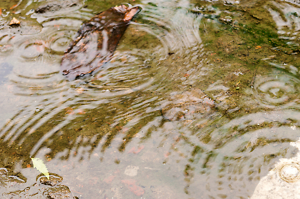 포토 JPG 해외이미지 디자인 계절 호수 백그라운드 패턴 일러스트 자연 하늘 날씨 추상 사람없음 가로 물 빛 컬러풀 반사 환경 거품 젖음 물방울 연못 원형 투명 액체 수면 떨어짐 매끈함 이슬 빗방울 웅덩이 분무기 땅바닥 잔물결 해외포토 자연요소 도형 물결 컬러 컨셉 무늬 바닥 감각 비_날씨 생태계 파일형식 이미지허브