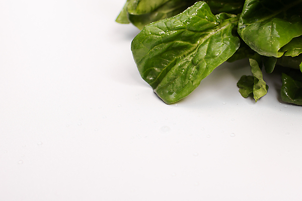 포토 JPG 해외이미지 식물 라이프스타일 음식 백그라운드 잎 다이어트 채소 재료 건강 요리 사람없음 초록색 물 쌓기 우주 공백 샐러드 젖음 흰색 아기 신선 고명 맛 떨어짐 자르기 다발 흰배경 유기농 날것 시금치 흙더미 고립 채식주의자 카피스페이스 해외포토 자연요소 웰빙 컬러 컨셉 모션 사람 생활 흙 채식 파일형식 더미 이미지허브