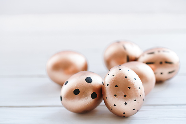 포토 JPG 해외이미지 부활절 사람없음 아웃포커스 계란 해외포토 기념일 촬영기법 알 파일형식 이미지허브