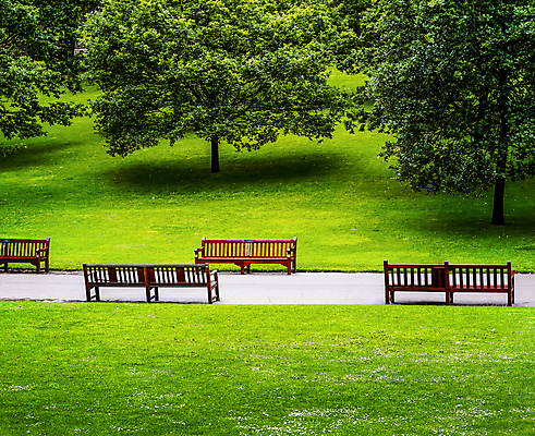 포토 JPG 해외이미지 나무 공원 길 여행 백그라운드 벤치 자연 사람 잔디 사람없음 야외 초록색 환경 산책 고독 숲 오솔길 언덕 내추럴 해외포토 식물 공공시설 감정 컬러 의자 휴식 생태계 파일형식 이미지허브