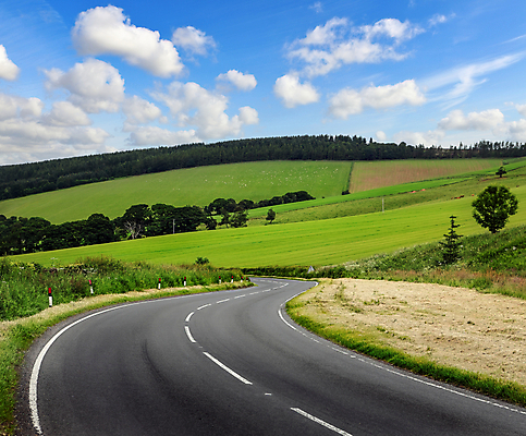 포토 JPG 해외이미지 나무 구름 도로 길 여행 백그라운드 농업 곡선 자연 하늘 산 풍경 사람없음 야외 초록색 파란색 농장 가축 운전 시골 고속도로 소 숲 아스팔트 언덕 속도 방법 생태학 수평선 해외포토 자연요소 식물 동물 교육 산업 선 컬러 포유류 교통시설 모션 생태계 파일형식 이미지허브