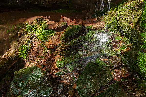 포토 JPG 해외이미지 나무 식물 백그라운드 자국 자연 추상 이끼 풍경 사람없음 야외 초록색 물 여름 골짜기 봄 하이킹 흐름 암석 바위 개울 숲 오솔길 땅 질감 땅바닥 해외포토 자연요소 계절 길 컬러 컨셉 무늬 레저 바닥 강 돌_바위 생태계 파일형식 이미지허브