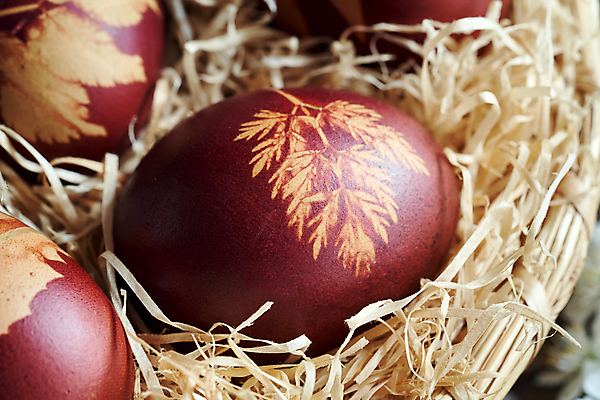 포토 JPG 해외이미지 식물 전통 디자인 계절 음식 잎 패턴 자연 양파 휴가 부활절 사람없음 장식 빨간색 갈색 바구니 계란 축제 봄 껍질 축하 신선 그리기 닫기 심볼 피부 생태계 염색 밀짚 내추럴 핸드메이드 해외포토 기념일 컬러 컨셉 무늬 채소 모션 신체부위 알 짚 파일형식 이미지허브