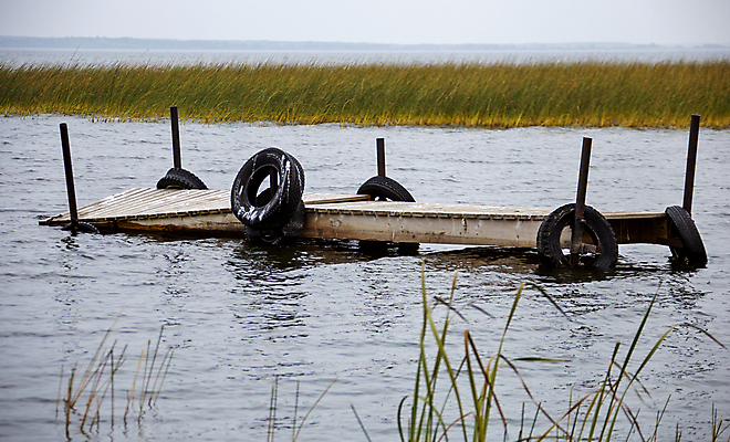 포토 JPG 해외이미지 나무 잎 캐나다 자연 풍경 사람없음 야외 컬러풀 평화 가을 숲 장면 북쪽 해외포토 식물 계절 컬러 컨셉 북아메리카 방향 생태계 파일형식 이미지허브