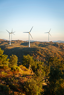 포토 JPG 해외이미지 나무 구름 공원 꽃 여행 백그라운드 자연 하늘 바람 휴가 산 파노라마 풍경 사람없음 야외 목재 초록색 물 여름 파란색 환경 계곡 봄 트래킹 하이킹 소나무 황무지 숲 포르투갈 순수 언덕 내추럴 소셜 해외포토 자연요소 식물 계절 공공시설 유럽 컬러 컨셉 재료 레저 날씨 촬영기법 생태계 파일형식 이미지허브