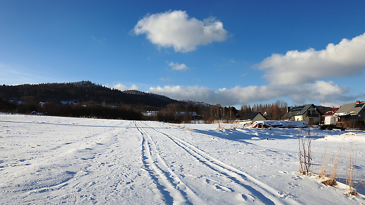 포토 JPG 해외이미지 나무 계절 스포츠 여행 백그라운드 크리스마스 겨울 자연 하늘 휴가 산 파노라마 풍경 사람없음 야외 파란색 태양 냉동 얼음 일몰 하이킹 추위 숲 서리 눈내림 해외포토 자연요소 식물 기념일 컬러 레저 눈_날씨 촬영기법 노을 생태계 파일형식 이미지허브