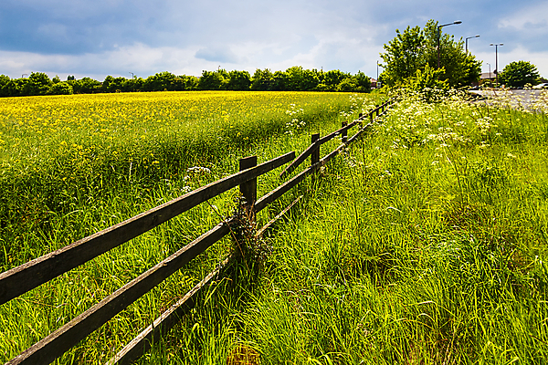 포토 JPG 해외이미지 구름 백그라운드 밭 자연 하늘 영국 거리 풍경 사람없음 야외 초록색 여름 파란색 울타리 시골 신선 재산 언덕 심플 길가 해외포토 자연요소 계절 유럽 컬러 농업 금융 담장 생태계 파일형식 이미지허브