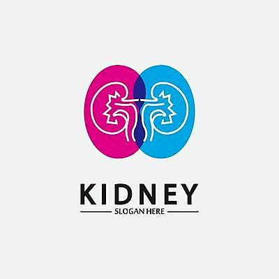 EPS 해외이미지 모양 템플릿 라이프스타일 손 디자인 선 과학 백그라운드 컨셉 신체 일러스트 해부 추상 건강 병원 미술 사람 내부 그래픽 약 의사 흰색 오르간 신장 플랫 질병 심볼 오브젝트 사인 생물학 심플 시스템 정맥 고립 돌봄 엘리먼트 해외일러스트 교육 컬러 무늬 의학 모션 문화예술 생활 신체부위 의료진 건반악기 비뇨기관 혈관 파일형식 벡터 이미지허브