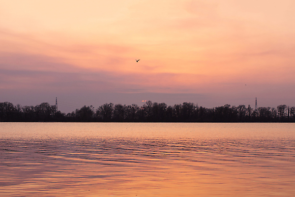 포토 JPG 해외이미지 나무 구름 계절 호수 파도 분홍색 백그라운드 오렌지 자연 하늘 아침 풍경 사람없음 야외 빨간색 물 여름 파란색 빛 강 컬러풀 햇빛 태양 뷰티 반사 노란색 일출 황혼 일몰 봄 새벽 황금 야간 저녁 공상 천국 우크라이나 수평선 해외포토 주간 자연요소 식물 유럽 바다 컬러 과일 노을 생태계 파일형식 이미지허브