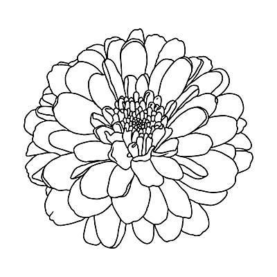 EPS 해외이미지 식물 손 디자인 꽃잎 꽃 선 결혼 꽃무늬 일러스트 포장 자연 벽지 국화 흑백 미술 그래픽 장식 여름 세트 유행 검은색 흰색 직물 인사 신용카드 고급 우아함 인쇄 스케치 수집 문신 그림 윤곽 초대 고립 엘리먼트 포장소품 스타일 해외일러스트 계절 컬러 컨셉 무늬 문화예술 촬영기법 이벤트 신체부위 금융 예절 오브젝트 생태계 포장재료 파일형식 벡터 이미지허브