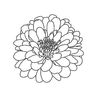 EPS 해외이미지 식물 손 디자인 꽃잎 꽃 선 결혼 꽃무늬 일러스트 포장 자연 벽지 국화 흑백 미술 그래픽 장식 여름 세트 유행 검은색 흰색 직물 인사 신용카드 고급 우아함 인쇄 스케치 수집 문신 그림 윤곽 초대 고립 엘리먼트 포장소품 스타일 해외일러스트 계절 컬러 컨셉 무늬 문화예술 촬영기법 이벤트 신체부위 금융 예절 오브젝트 생태계 포장재료 파일형식 벡터 이미지허브