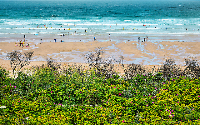 포토 JPG 해외이미지 식물 라이프스타일 꽃 스포츠 바다 여행 꽃무늬 자연 휴가 사람 사람없음 초록색 물 여름 장미 봄 산책 벚꽃 서핑보드 개화 서핑 서퍼 내추럴 해외포토 자연요소 계절 컬러 무늬 휴식 운동선수 생활 수상스포츠 보드_스포츠 생태계 파일형식 이미지허브