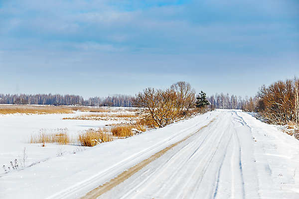 포토 JPG 해외이미지 나무 계절 도로 여행 백그라운드 크리스마스 겨울 교통시설 자동차 자연 하늘 날씨 휴가 산 사람없음 야외 목재 파란색 빛 햇빛 태양 맑음 냉동 얼음 운전 추위 흰색 시골 고속도로 숲 12월 언덕 서리 장면 눈보라 방법 눈내림 해외포토 자연요소 식물 기념일 길 육상교통 컬러 교통 재료 모션 눈_날씨 날짜 시설 생태계 파일형식 이미지허브