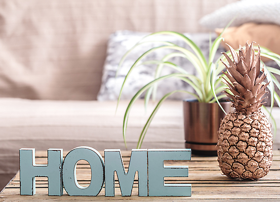 포토 JPG 해외이미지 영어 실내 사람없음 아웃포커스 파인애플 오브젝트 해외포토 문자 과일 촬영기법 내부 열대과일 파일형식 이미지허브