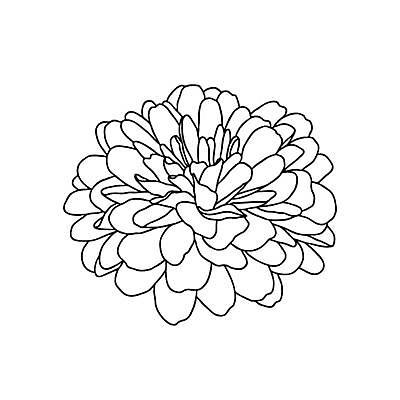 EPS 해외이미지 식물 손 디자인 꽃잎 꽃 선 결혼 꽃무늬 일러스트 포장 자연 벽지 국화 흑백 미술 그래픽 장식 여름 세트 유행 검은색 흰색 직물 인사 신용카드 고급 우아함 인쇄 스케치 수집 문신 그림 윤곽 초대 고립 엘리먼트 포장소품 스타일 해외일러스트 계절 컬러 컨셉 무늬 문화예술 촬영기법 이벤트 신체부위 금융 예절 오브젝트 생태계 포장재료 파일형식 벡터 이미지허브