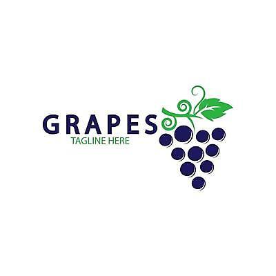 EPS 해외이미지 클립아트 식물 디자인 열매 실루엣 음식 잎 과일 일러스트 탁자 포도 매달리기 건강 그래픽 빨간색 농장 와인 보라색 플랫 달콤 다발 유기농 날것 윤곽 포도밭 포도나무 내추럴 고립 메를로 입가심 해외일러스트 웰빙 컬러 가구 밭 농업 모션 주류 촬영기법 맛 과일나무 파일형식 벡터 나무 산업 음료 생활용품 컨셉 오브젝트 이미지허브
