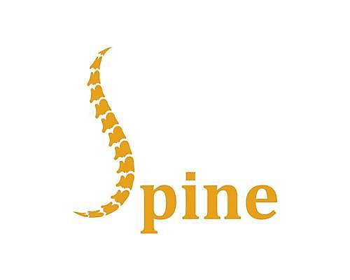 EPS 해외이미지 디자인 실루엣 신체 일러스트 해부 뼈 골격 건강 병원 사람 그래픽 약 라벨 고통 의사 마사지 점 센터 질병 심볼 척추 사인 생물학 S 외과 돌봄 무한 정형외과 증상 특별함 해외일러스트 알파벳 교육 감정 컨셉 의학 모션 프레임 촬영기법 의료진 파일형식 벡터 이미지허브