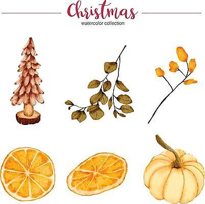 EPS 해외이미지 나무 잎 크리스마스 오렌지 일러스트 호박 단면 타이포그라피 글자캘리그라피 사람없음 크리스마스트리 해외일러스트 식물 문자 기념일 채소 과일 캘리그라피 파일형식 벡터 이미지허브