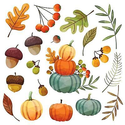 EPS 해외이미지 열매 단풍 낙엽 일러스트 호박 사람없음 농작물 세트 도토리 추수감사절 해외일러스트 식물 기독교 잎 농업 채소 견과류 파일형식 벡터 이미지허브