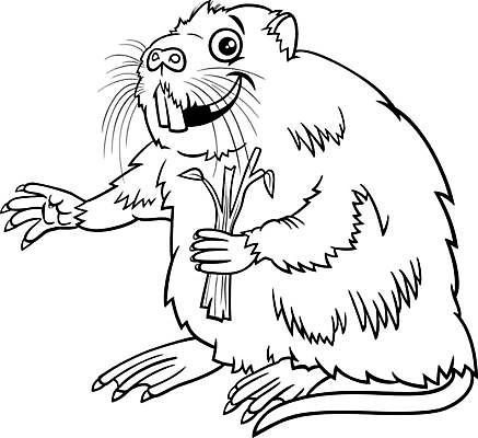 EPS 해외이미지 클립아트 동물 캐릭터 디자인 야생동물 일러스트 포유류 발 수염 동물원 종류 앉기 그래픽 책 검은색 흰색 유머 만화 그림 꼬리 페이지 마스코트 색칠공부 해외일러스트 일러캐릭터 감정 컬러 모션 신체부위 학습 색칠 파일형식 벡터 이미지허브