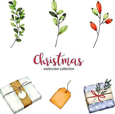 EPS 해외이미지 열매 잎 크리스마스 일러스트 타이포그라피 글자캘리그라피 사람없음 선물상자 꼬리표 해외일러스트 식물 문자 기념일 캘리그라피 선물 상자 라벨 파일형식 벡터 이미지허브